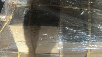 77EF95CE E0FC 4663 9C46 A8BBF0F774E0