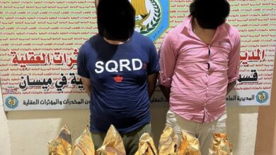 7B98372F B0C1 4CA8 A5E2 3316DD9EEAAC