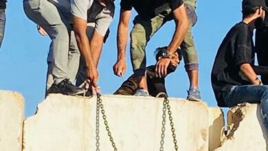 7E826D99 4E7F 4EBC 9A70 2C6801A1F983