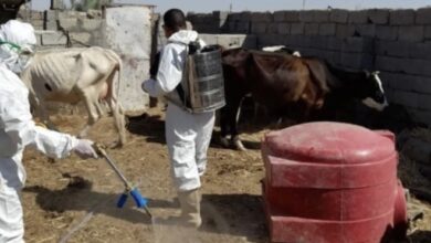 81724924 629D 4D4F B30E 35392EEF3E02