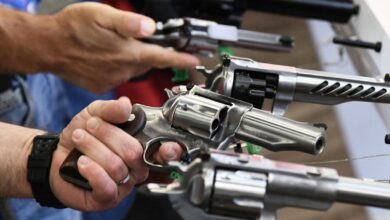 86E52FDE 1CAC 4AB6 AC96 9D9503211F78