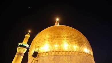 894B59A7 F87C 47D3 8C71 5255162756D4