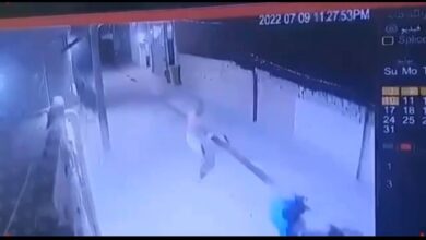 8D7AF13A 0DEA 44C5 83F8 B8D477D2AB2D