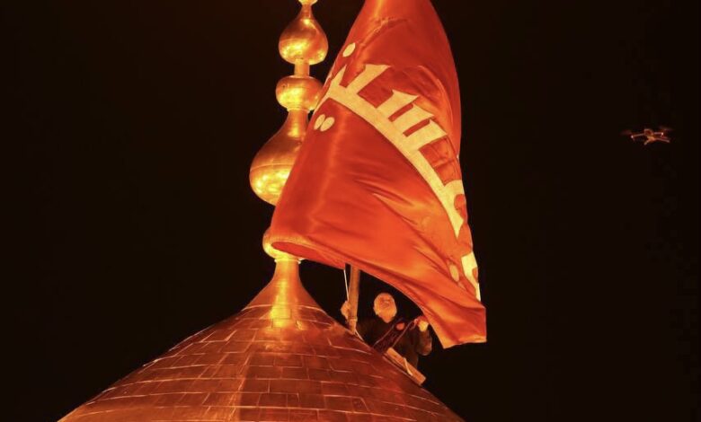 91A6281F 64FC 45DC 83C8 CE3FBBB641AE