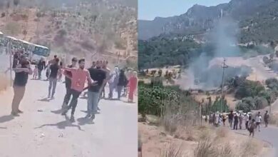 97FABFB5 A912 4654 A981 D6728457CBB4