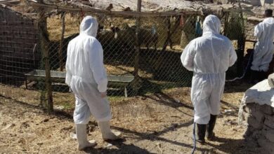 996A736F C0AA 46F0 B0AB 604C12AF1506