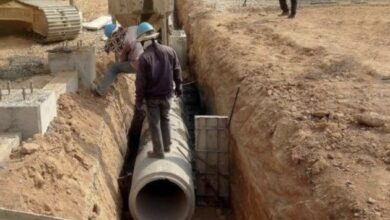 9C5D25DE 3BB1 47ED 856D E55EB8C05C6F