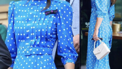 9DBB4DE8 D765 44A4 A9DE AB05A610C1CC