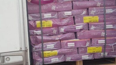 A81E323E 01A5 4074 BEA6 CC2AF36FD16C