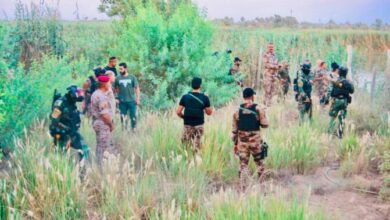 A9E67BC0 1895 473C 962C 7CD8EA7EFEF5