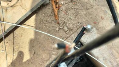 B7894A8E B96F 4141 A137 771831AB507D