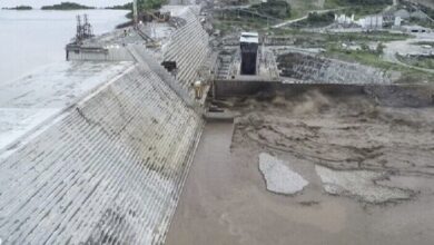 C156A5AD 15E5 49B8 87B8 7C416469ECC8