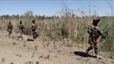 C169B952 0DDD 4ECE BF74 EF079DE0BCFC