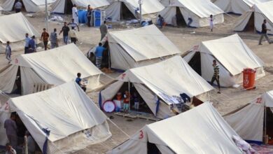 C55BEAB9 98E5 477F B5C7 E2A3BB115894