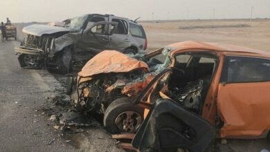 CE632445 4BF5 4F0C A50D B484BCA3B24C