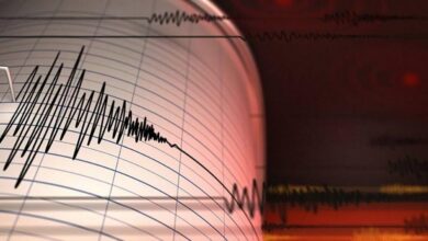 CEB7C3B6 9441 4E99 8FFC FE0FE53031D1