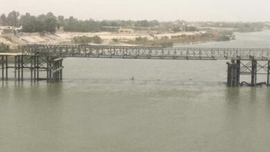 D20604CD 1521 4722 A79D B0F1835B1ADB