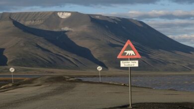 D31E40CE F04E 4FAF 8F6B 9F6E910241F9