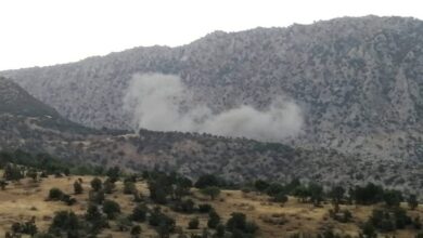 D74A41E7 0F83 4CA3 B7D4 648242530B35