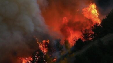 D92047A8 9F33 4A7C 96FC 7BD0E8737899