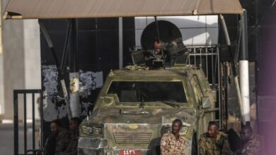 DAB95DD8 13E0 428D 9B53 11A5906A60F6