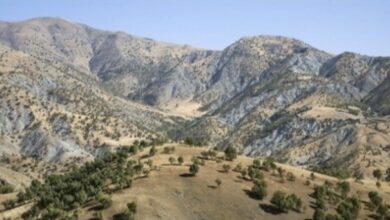 DC9F0DB3 07F3 46B9 ABEC 469615E1B490