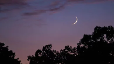 E9174914 C334 4B23 96CD 1D8717CF9D8D