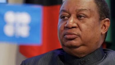 EC5F6E0A EADE 4CD1 8481 AEA8A3C3F810