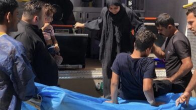 ECE79FB3 6321 46FC 8169 DDFC45285213