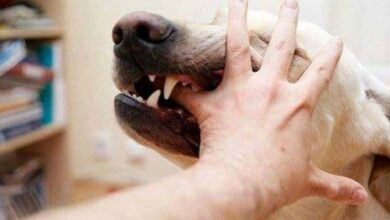 FB IMG 1657285160694