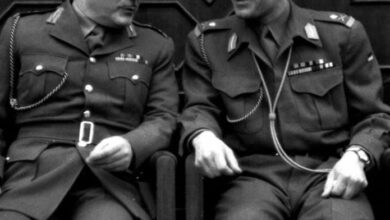 FB IMG 1657792688870