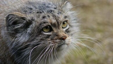 IMG 20220717 230040 302