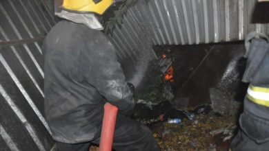 IMG 20220722 102006 058