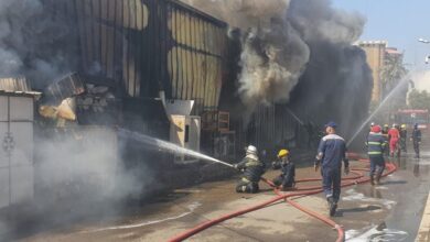 IMG 20220723 101556 893