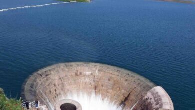 IMG 20220724 084506 147