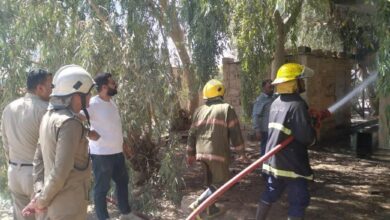 IMG 20220725 151823 249