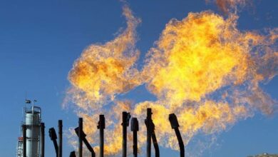 IMG 20220725 202003 810