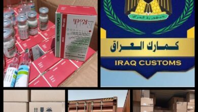 IMG 20220729 151141 412