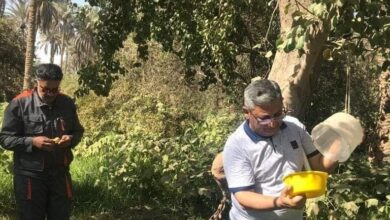 IMG ٢٠٢٢٠٧٠٥ ١٩١٨٠٣