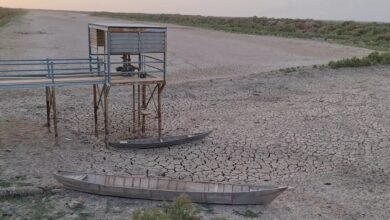 IMG ٢٠٢٢٠٧١٣ ١٧٣٢٤٥