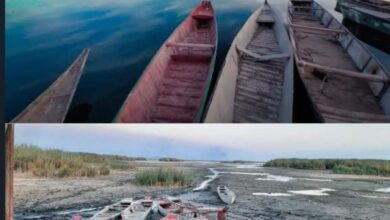 IMG ٢٠٢٢٠٧١٦ ٢٠١٣٥٩