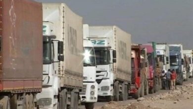 IMG ٢٠٢٢٠٧٢٦ ١٢٣٩٢٤