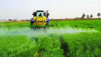 Screenshot ٢٠٢٢٠٧٠١ ٢١٣٨٤٨ 1