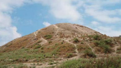 Screenshot ٢٠٢٢٠٧١٥ ٢٠٢٨١٣