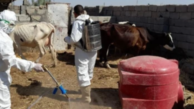 صلاح الدين تسجل وفاة شخصين بالحمى النزفية وتصدر 4 إرشادات للمواطنين 2 Screenshot ٢٠٢٢٠٧٢١ ٢٠٤٢١١