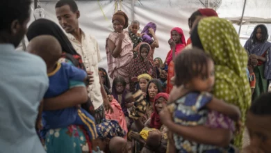 ab74f300064c8210b2a9dcc85d7d19e4346fcbd4