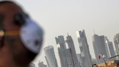 d049d017 e0fe 441c a488 e8c4123dc145