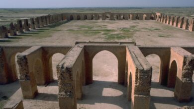 upload 1657036336 1355082533.jpeg