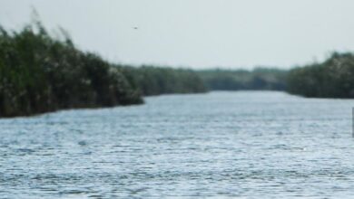 upload 1657350144 1525187545