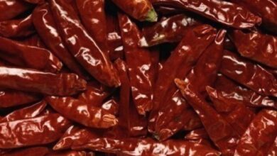 upload 1657479388 3505113